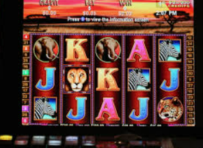 188bet官网入口2024最新版